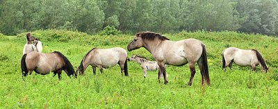 BUITEN BEELD Foto: 149500