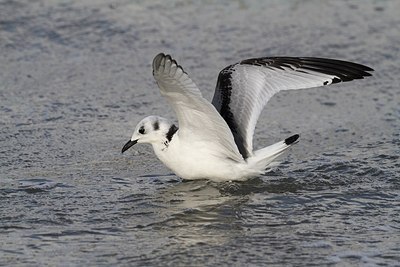 BUITEN BEELD Foto: 149512