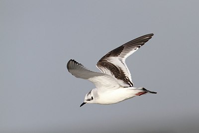 BUITEN BEELD Foto: 149513