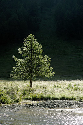 BUITEN BEELD Foto: 149564