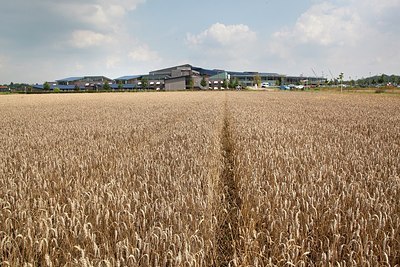 BUITEN BEELD Foto: 149584