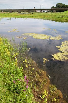 BUITEN BEELD Foto: 149605
