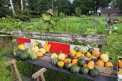 BUITEN BEELD Foto: 149618