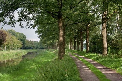 BUITEN BEELD Foto: 149620