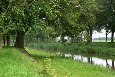 BUITEN BEELD Foto: 149625