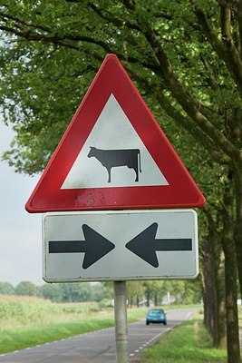 BUITEN BEELD Foto: 149636