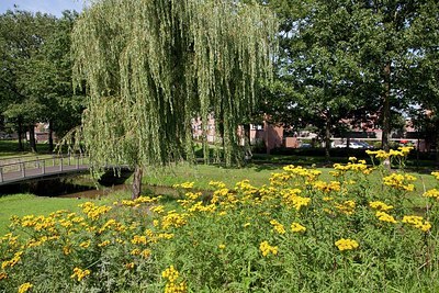 BUITEN BEELD Foto: 149646