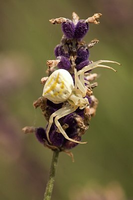 BUITEN BEELD Foto: 149660