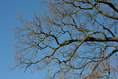 BUITEN BEELD Foto: 149668