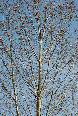 BUITEN BEELD Foto: 149680