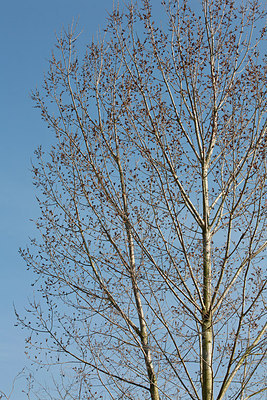 BUITEN BEELD Foto: 149681