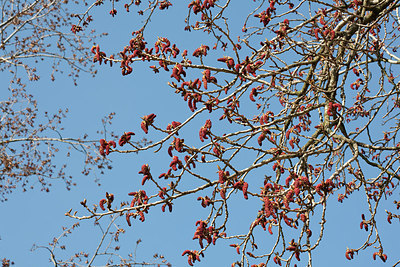 BUITEN BEELD Foto: 149687