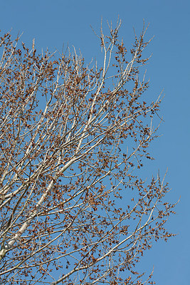 BUITEN BEELD Foto: 149768