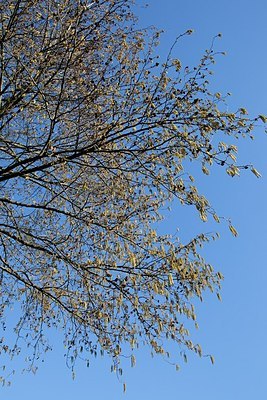 BUITEN BEELD Foto: 149771