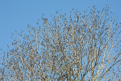 BUITEN BEELD Foto: 149790