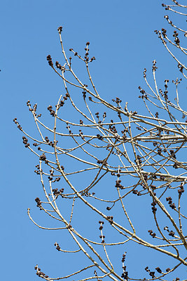 BUITEN BEELD Foto: 149791