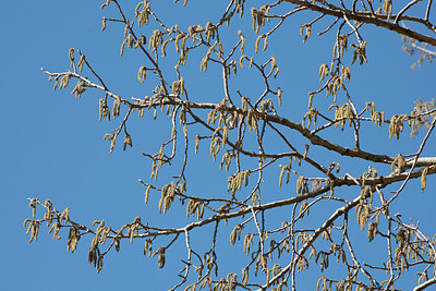 BUITEN BEELD Foto: 149793