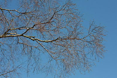 BUITEN BEELD Foto: 149799