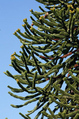 BUITEN BEELD Foto: 149804