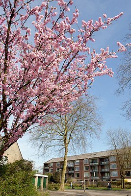 BUITEN BEELD Foto: 149852