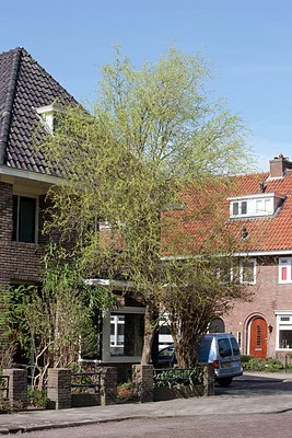 BUITEN BEELD Foto: 149853