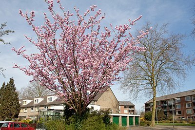 BUITEN BEELD Foto: 149856