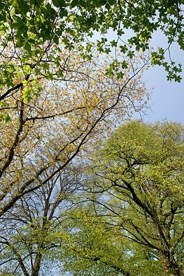 BUITEN BEELD Foto: 149866