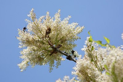 BUITEN BEELD Foto: 149899