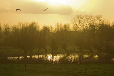 BUITEN BEELD Foto: 149912