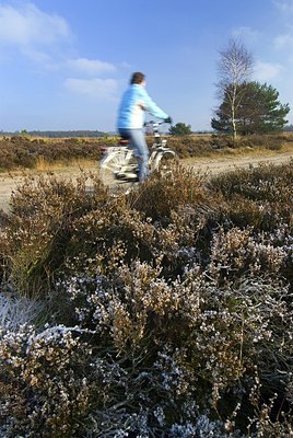 BUITEN BEELD Foto: 149926