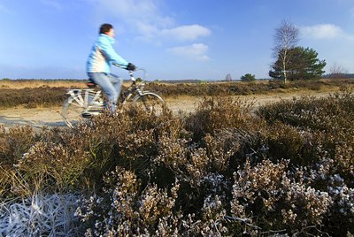 BUITEN BEELD Foto: 149928