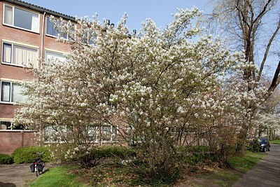 BUITEN BEELD Foto: 149944