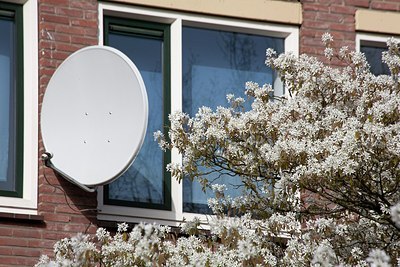 BUITEN BEELD Foto: 149947