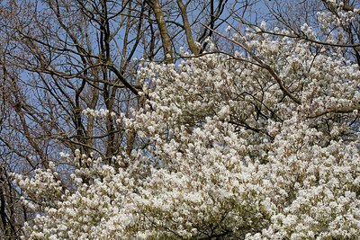 BUITEN BEELD Foto: 149950