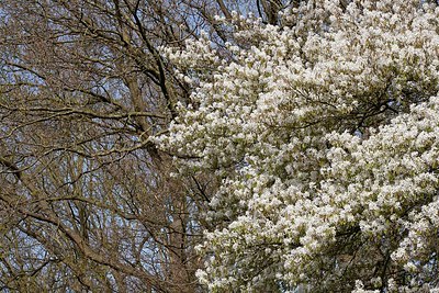 BUITEN BEELD Foto: 149951