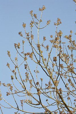 BUITEN BEELD Foto: 149974