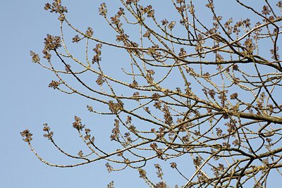 BUITEN BEELD Foto: 149984