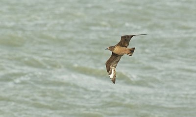 BUITEN BEELD Foto: 150002