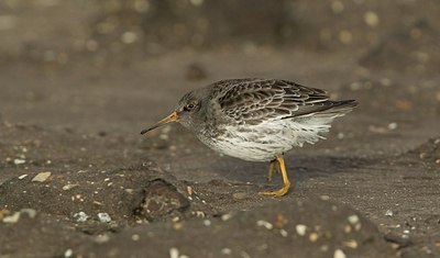 BUITEN BEELD Foto: 150006