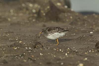 BUITEN BEELD Foto: 150007