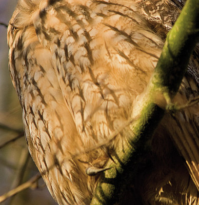 BUITEN BEELD Foto: 150008