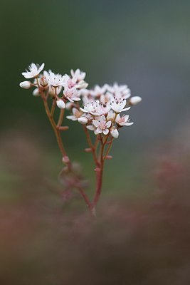 BUITEN BEELD Foto: 150040