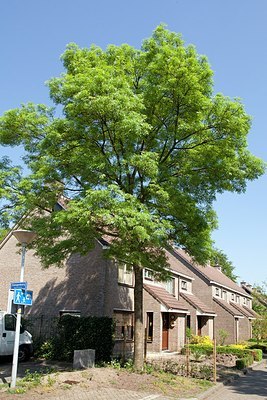 BUITEN BEELD Foto: 150061