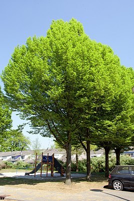 BUITEN BEELD Foto: 150062