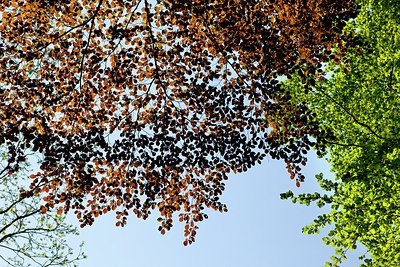 BUITEN BEELD Foto: 150086
