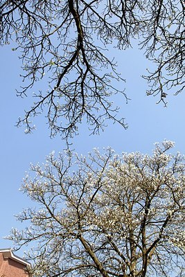 BUITEN BEELD Foto: 150115