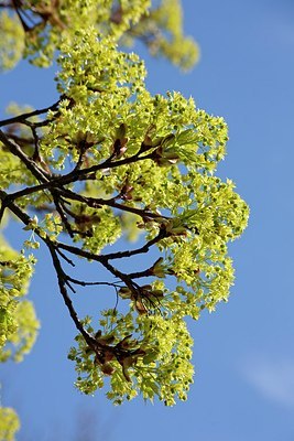 BUITEN BEELD Foto: 150153