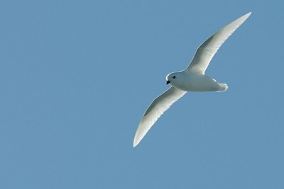 BUITEN BEELD Foto: 150175