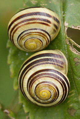 BUITEN BEELD Foto: 150199