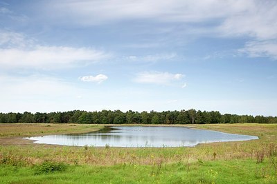 BUITEN BEELD Foto: 150208
